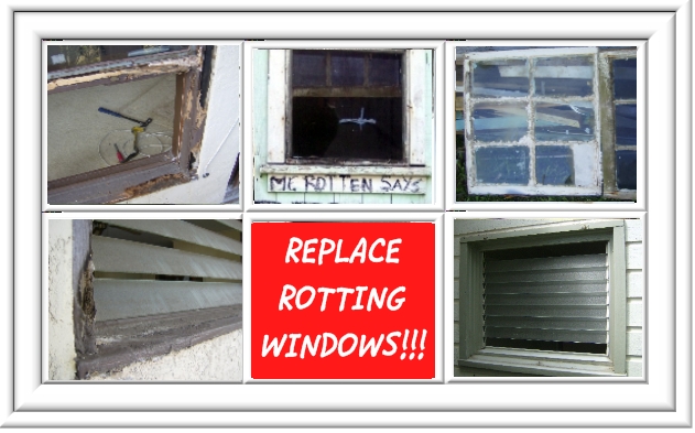 replace rotting windows